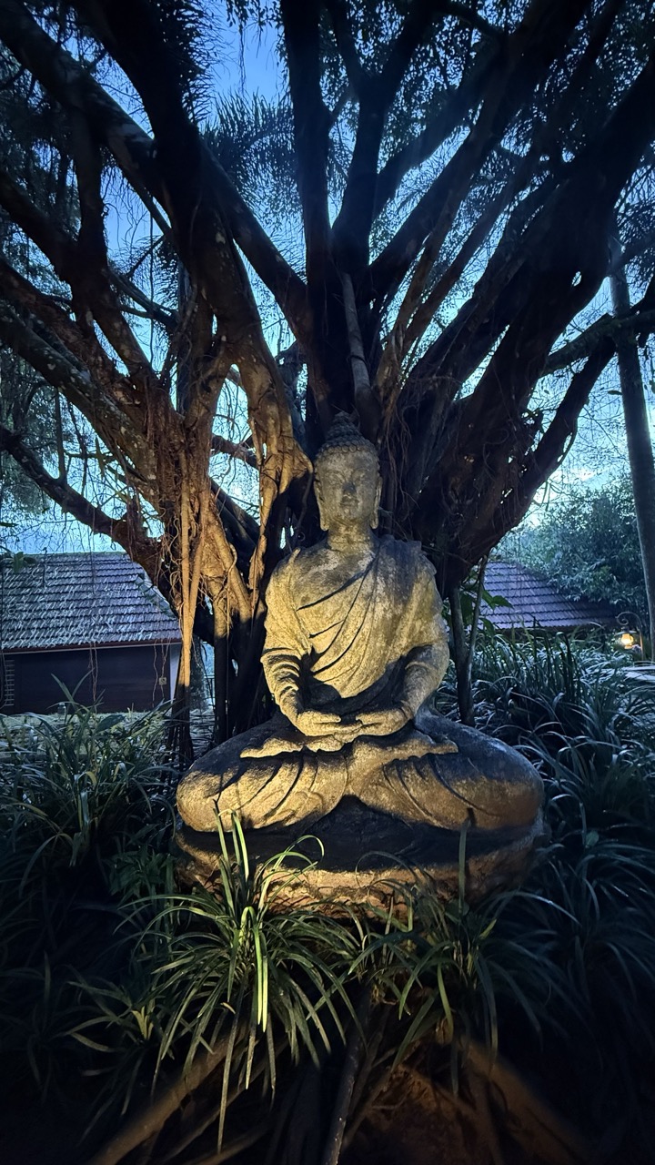 Travel Image 75