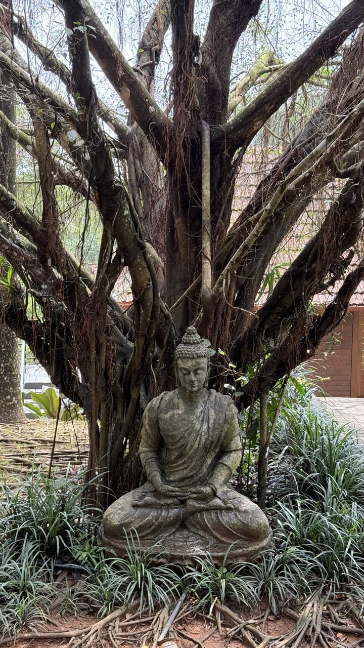 Travel Image 89
