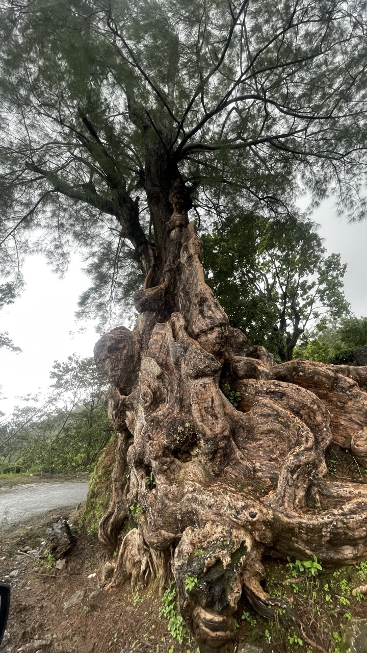 Travel Image 90